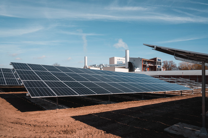 Der neue Solarpark auf dem Firmengelände von Interquell Petfood