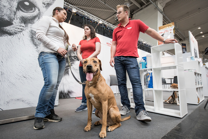 Die Hundemesse Pfotenliebe wird im Rahmen der Passion Pferd vom 5. bis 8. Dezember auf dem Messegelände Hannover stattfinden.