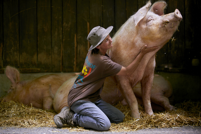 Über den Deutschen Tierschutzpreis und ein Preisgeld von 6.000 Euro konnten sich Christiane Rohn und das Team vom Argenhof freuen. Bild: Engelbert Schmidt 