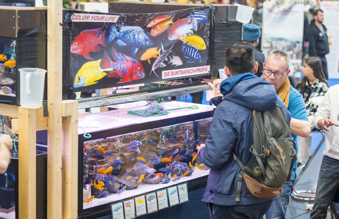 Die Aqua-Fisch findet vom  7. bis  9. März statt. Bild: Messe Friedrichshafen