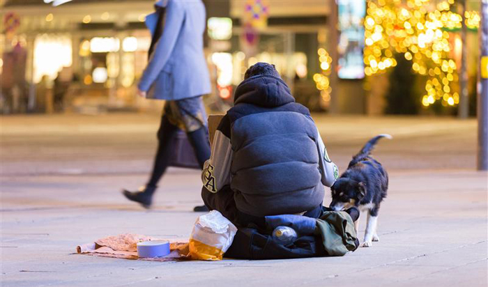 Purina unterstützt die Berliner Stadtmission bei der Versorgung von Hunden obdachloser Halter. Bild: Adobe Stock